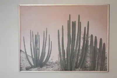 a framed picture of cactuses on a wall at WV Bohemian Bungalow in Kenova