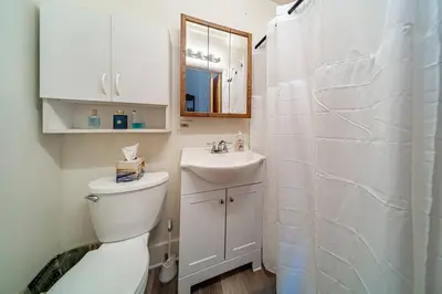 a bathroom with a toilet and a sink and a shower at Cottage in the Falls, 2 b, 2 bath, fireplace in Cuyahoga Falls