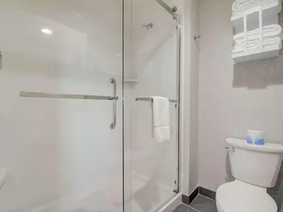a shower stall in a bathroom with a toilet at Hampton Inn & Suites Williamstown Ark Encounter, Ky in Williamstown