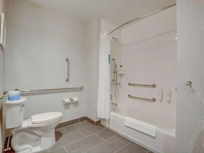 a bathroom with a white toilet and a shower at Hampton Inn & Suites Williamstown Ark Encounter, Ky in Williamstown