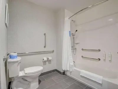 a bathroom with a white toilet and a shower at Hampton Inn & Suites Williamstown Ark Encounter, Ky in Williamstown