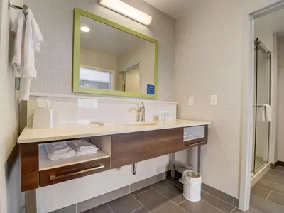 a bathroom with a sink and a mirror at Hampton Inn & Suites Williamstown Ark Encounter, Ky in Williamstown