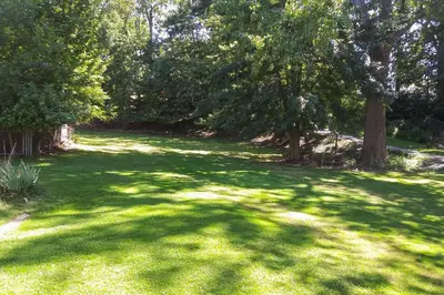 a green yard with trees and a field of grass at Eastlake Home with Patio Less Than 1 Mi to Lake Erie! in Eastlake