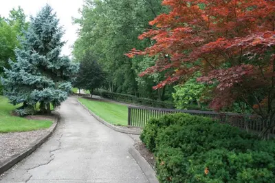 a path in a park with a fence and trees at City Boho ✦ New Kitchen ✦ King Bed ✦ WFH in Bexley