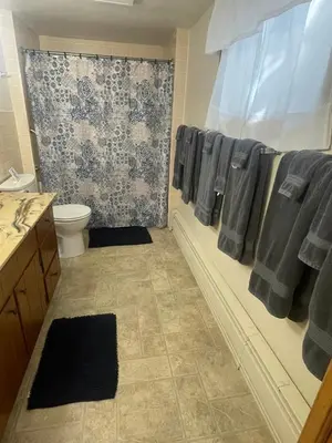 a bathroom with a toilet and a shower with towels at Cedar Point/Kalahari/Lake Erie - Betty's Homestead in Norwalk