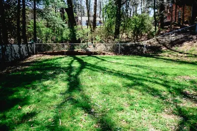 a shadow of a tree on a field of grass at Urban Cottage: Homey & Convenient in Huntington