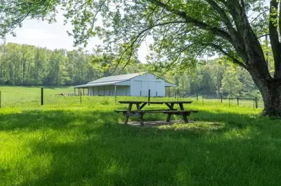 a picnic table under a tree in a field at 100 Acre Red Brick Ranch Hocking Hills Cabin Hot Tub 12 in Logan