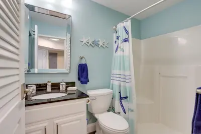 a bathroom with a toilet and a sink and a mirror at Waterfront Middle Bass Condo with Lake Erie Views! in Middle Bass