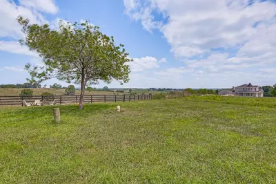 a tree in the middle of a field with a fence at Quiet Kentucky Vacation Rental with Hot Tub in Berry