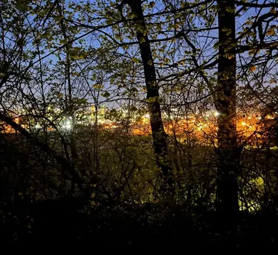 a view of the city through the trees at night at Trendy in Tremont, Cleveland (Upper) in Cleveland